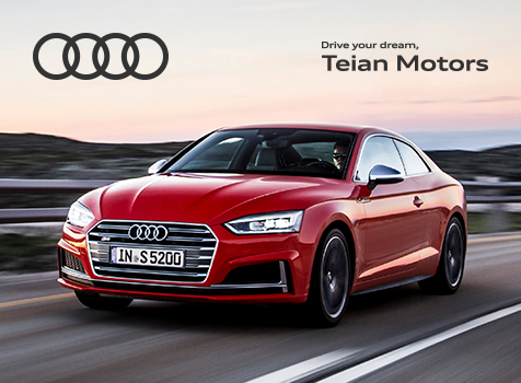 Audi web site