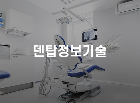 덴탑정보기술